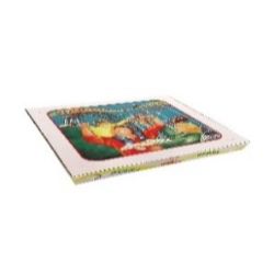 CAJA PIZZA 46X46 H 5 CM