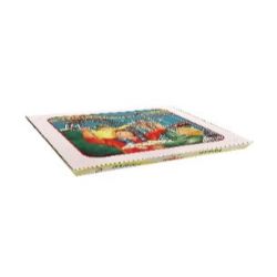 CAJA PIZZA 50 X 50 H 5 CM